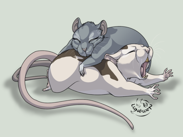 Le rat dans l'art :) - Page 2 Mornin10