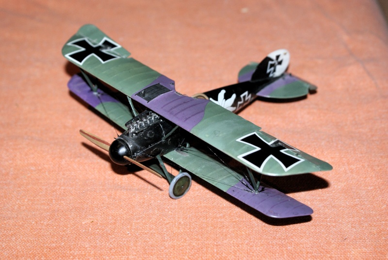 Albatros D.V 1917 - Revell 1/48 > Terminé !! - Page 13 Dsc03231