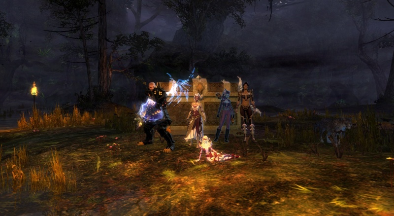 Quelques screens Gw2 Gw01610