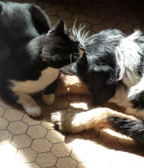 ELLIE et ELIOTT Bibile10
