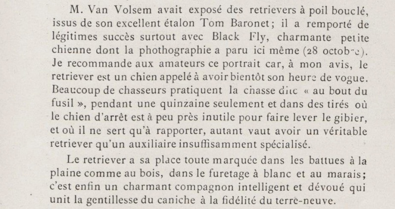 Black Fly, chienne Retriever, 1er prix à Bruxelles en 1899... Bruxel11