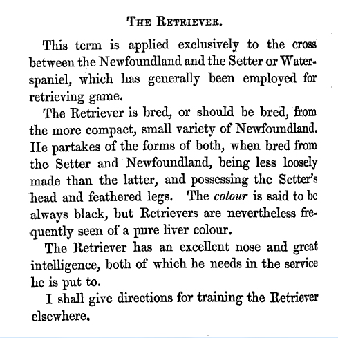 Définition du Retriever en 1861... Retri113