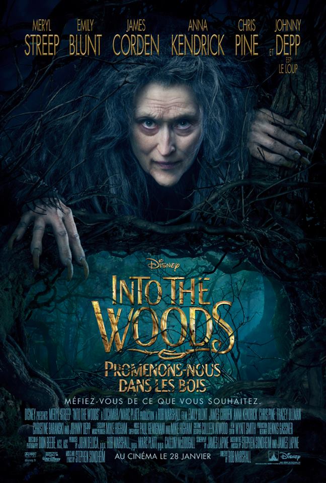 Into The Woods - 28 janvier 2015 10628411