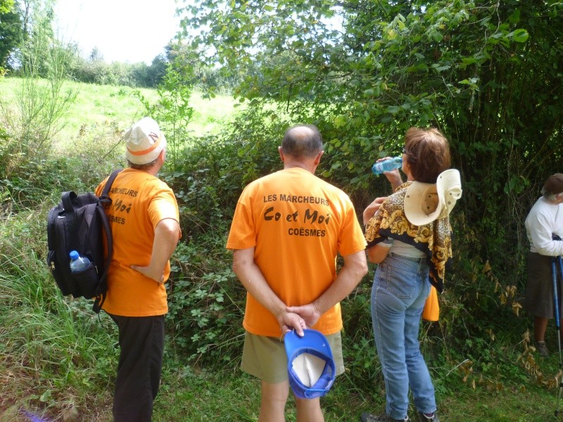 sortie du 7 septembre 2014 P1090912