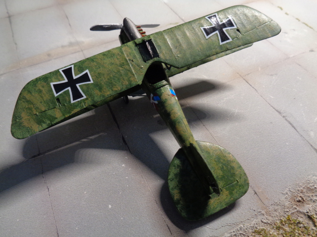 albatros d3 kit roden 1.72 Dsc01628