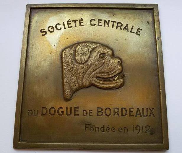 Targa Societè Centrale du Dogue de Bordeaux 1912 Targhe11
