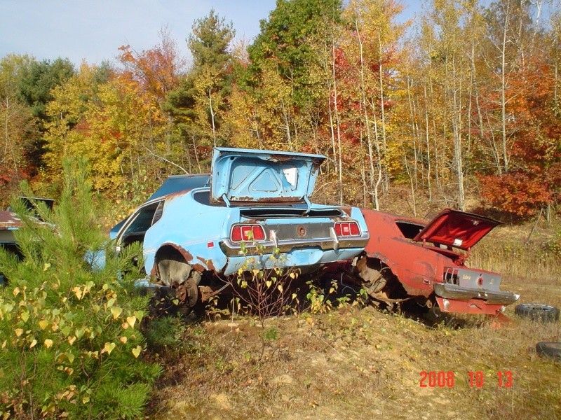 Photos d'épave de Mustang 71 à 73 1971_d10