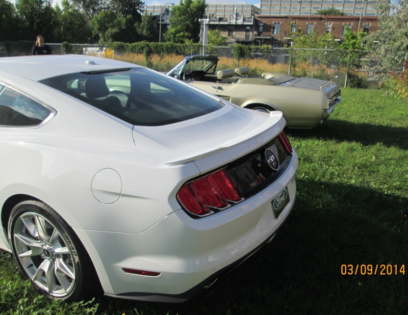 mustang - Photo de ma Mustang 67 avec la Mustang 2015 2014_349