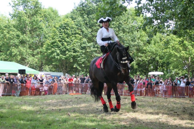 Printemps du Cheval 2014 a Rocheservière 10155110