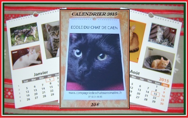 Ecole du chat de Caen : calendrier 2015 Calend10