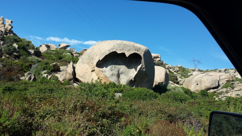 Une semaine en Corse en juillet, ça vous dit? - Page 14 20140729