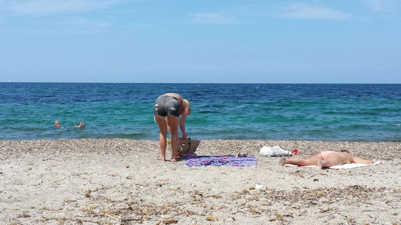 Une semaine en Corse en juillet, ça vous dit? - Page 12 20140813