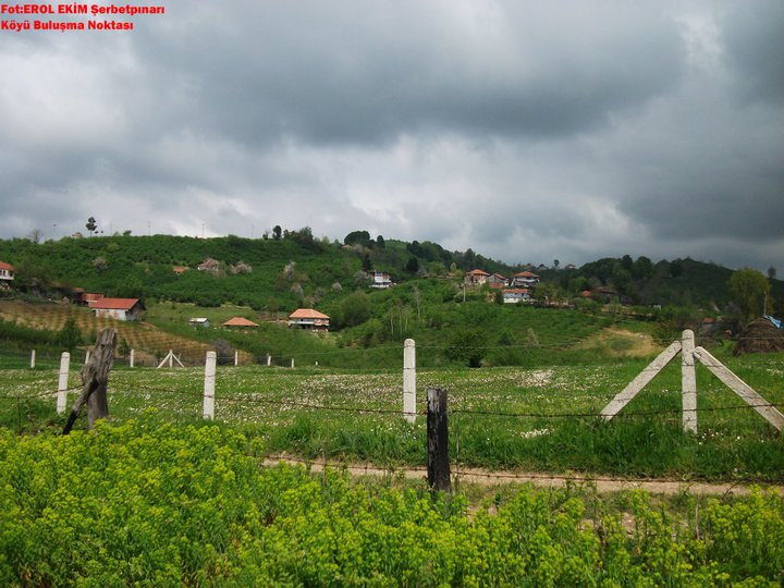 https - serbetpinari forum st - Köyümüzden Manzaralar | Resimler | Fotograflar [ Serbetpinari Köyü ] 16646710