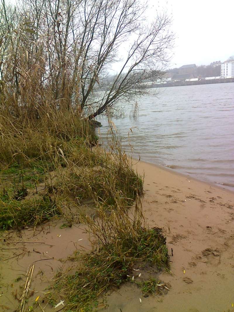 plage à Trentemoult Photo011