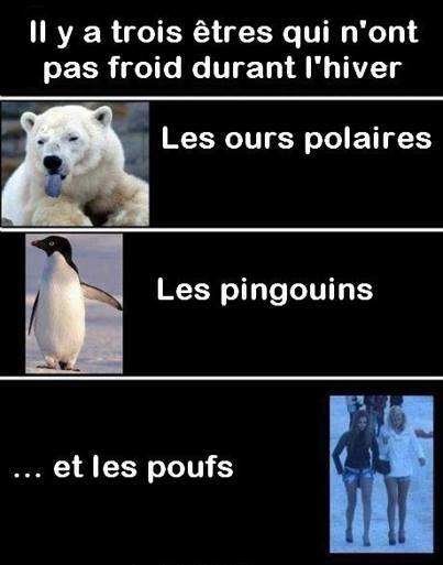 Humour - Page 20 10172610