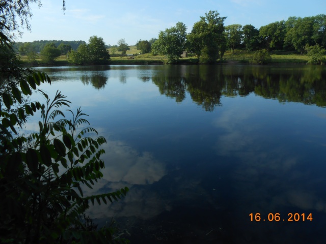 40 - Les cours d'eau... photos reçues Arbor100
