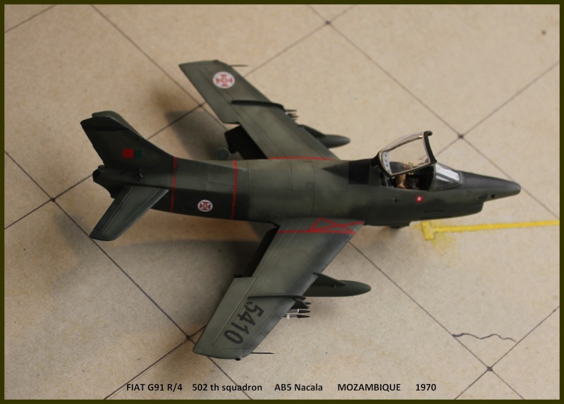 1/48  FIAT G 91  Occidental      FINI - Page 2 Fp110