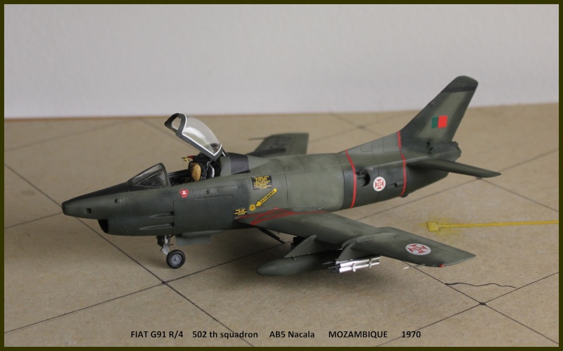 1/48  FIAT G 91  Occidental      FINI - Page 2 Fp310