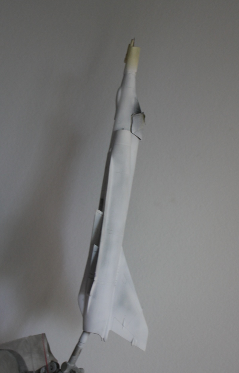 1/48  Mirage III EE   Italeri   FINI Img_7817