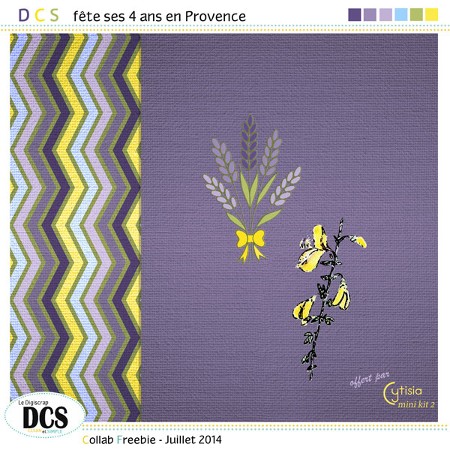 DCS fête ses 4 ans en Provence - juillet 2014 Cytisi12