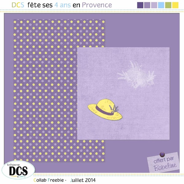 DCS fête ses 4 ans en Provence - juillet 2014 - Page 7 Folder16