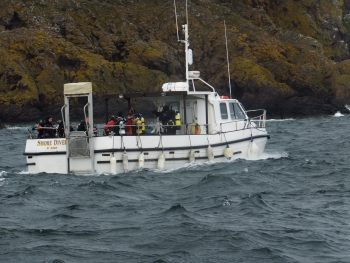 St Abbs Diving with Shore Diver 31511