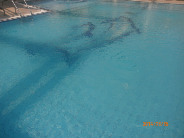اعادة تاهيل حمامات سباحة الاطفال سعة 25-250 متر مكعب P8150017
