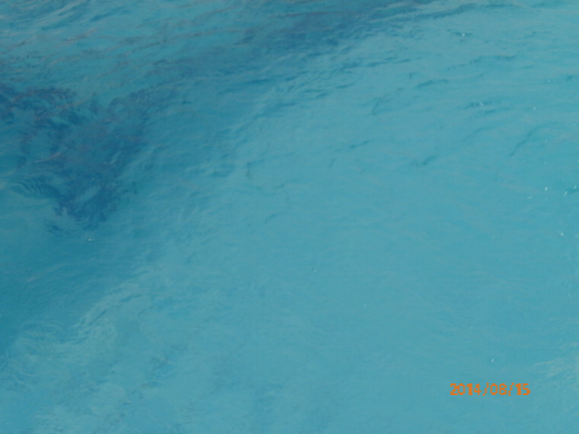 اعادة تاهيل حمامات سباحة الاطفال سعة 25-250 متر مكعب P8150019