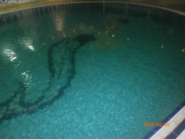 اعادة تاهيل حمامات سباحة مغلقة سعة 50-500 متر مكعب P8160014