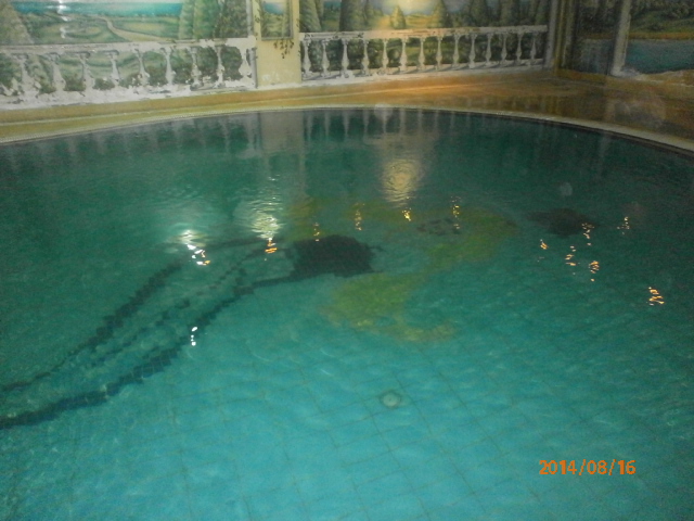 اعادة تاهيل حمامات سباحة مغلقة سعة 50-500 متر مكعب P8160015