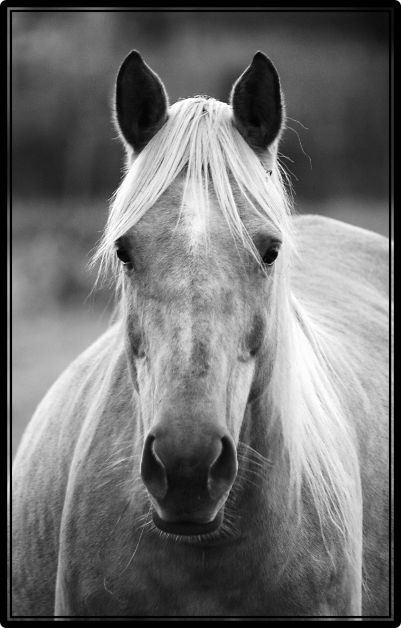 Coucou de Zouzou .....  - Page 9 03-10-18