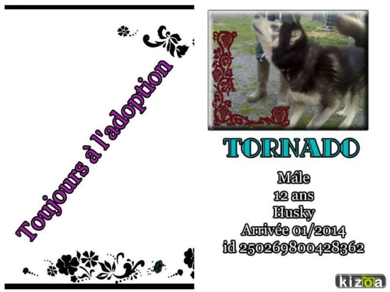 Tornado husky (m) 26 octobre 2002 REFU22 reste au refuge 10537110