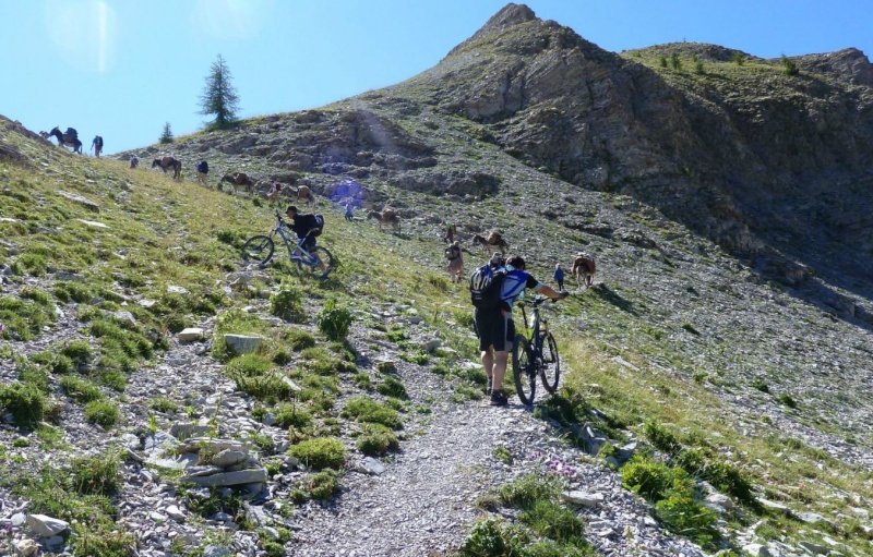 Concours photo de l'été -> Bannière de septembre 2014 - Page 2 Vtt_310