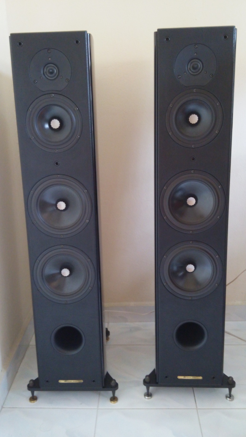 Sonus Faber Grand Piano Domus Speaker (Sold) Sonus_13