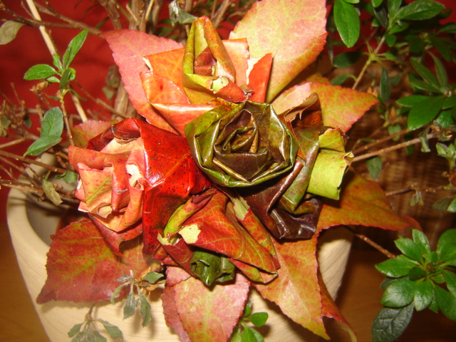 roses en feuilles d'automne  Dsc00017