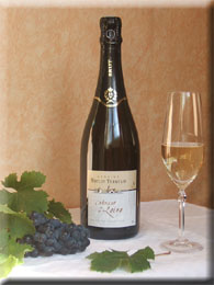Champagne saumurois Dscf0010