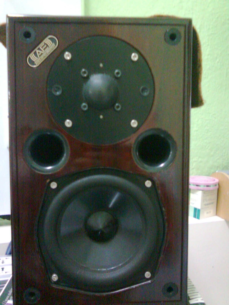 Acoustic Energy AE1(used)sold Aa070914