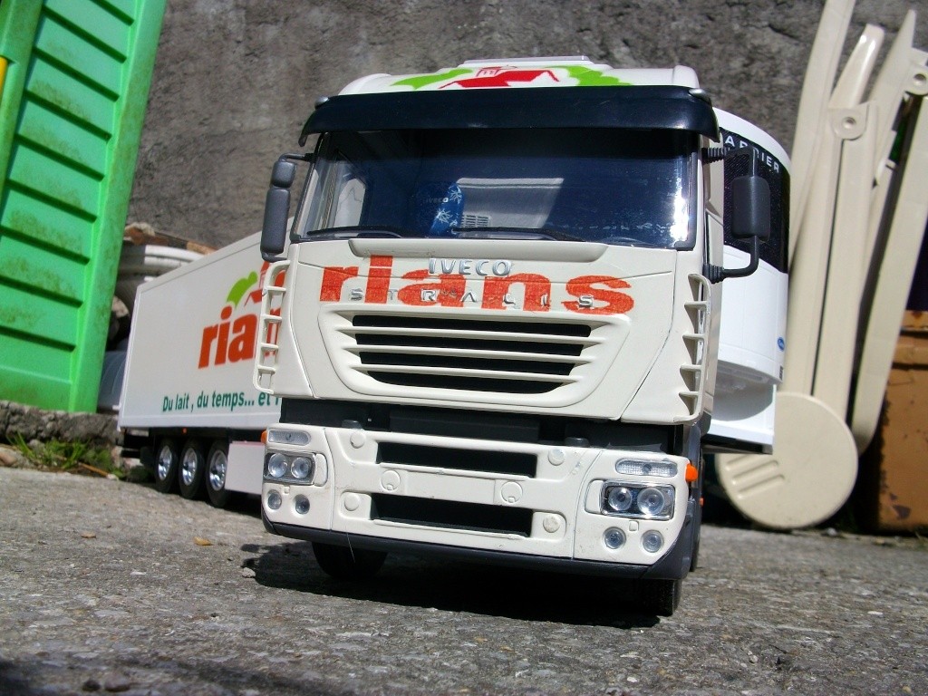 camion 1/24" Transport Rians du 18" Imgp7317