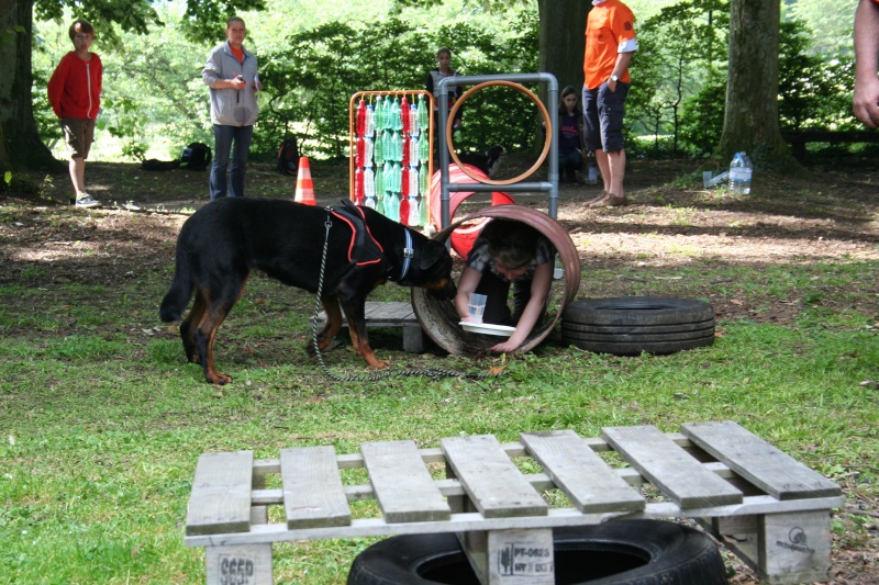 rallye canin de l'Eurégio, Liège, Belgique Img_5113