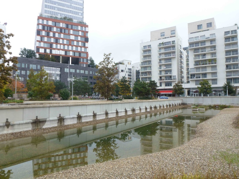 Bassin du Parc de Billancourt P1300524