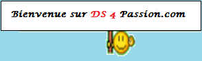 Présentation Ds_411