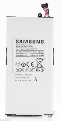 Samsung Galaxy Tab P1000 P1010 Battery SP4960C3A Samsun10