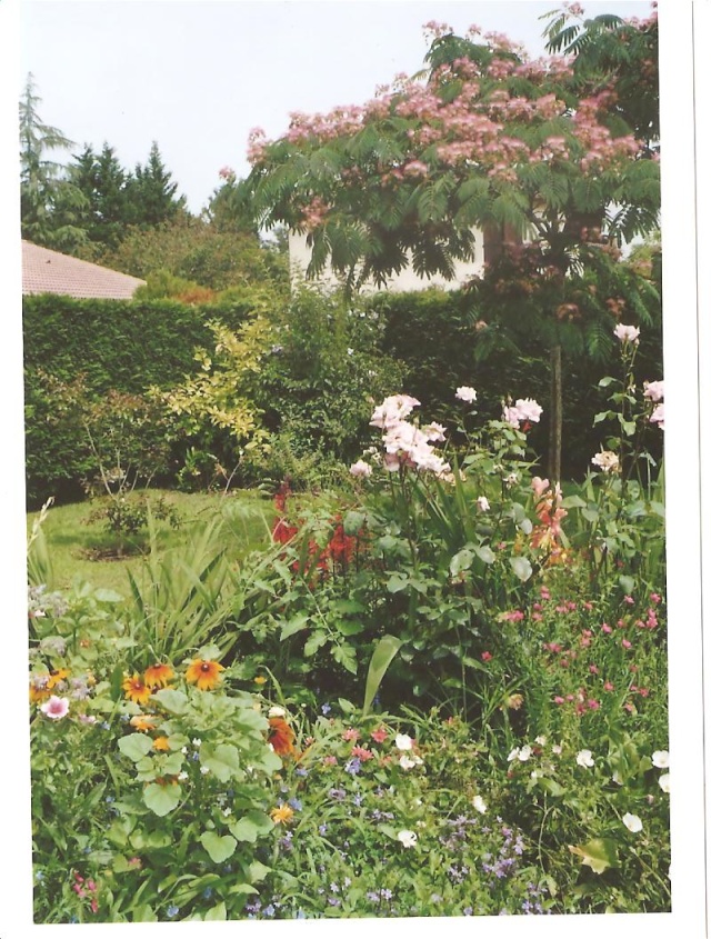 Photos de notre jardin - Page 2 Le_jar10