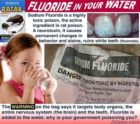 Fluoridated water calcifies your arteries: study Fluori10