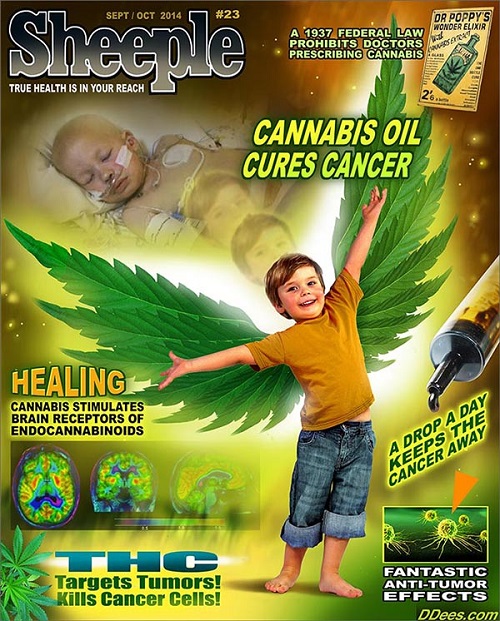 Cannabis oil cures cancer Sheepl10