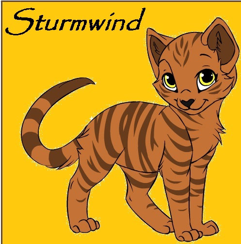 Sturmwind Strumw10