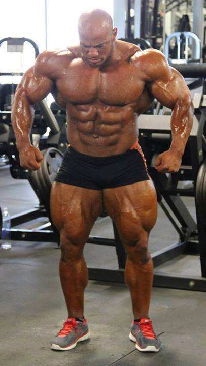 Big Ramy 2014 Ramy410