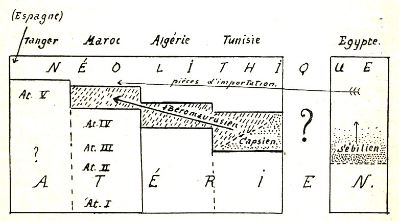 Les grandes lignes de la préhistoire marocaine - Page 3 Antoin23