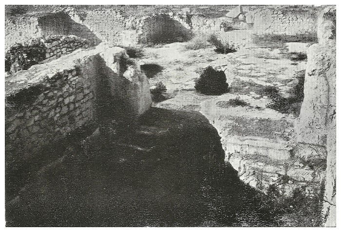 A LA DECOUVERTE DE VOLUBILIS - Page 3 Gallie14