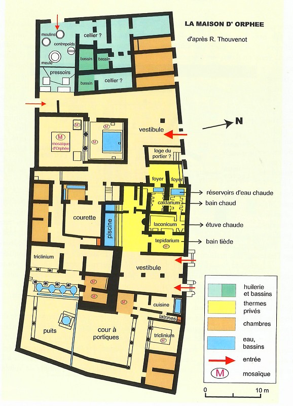 A LA DECOUVERTE DE VOLUBILIS - Page 2 Mosaiq14